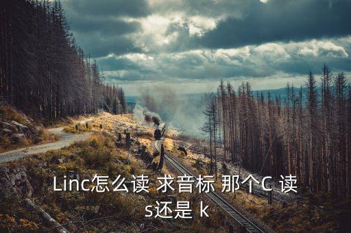 linc，Linc怎么讀 求音標(biāo) 那個C 讀 s還是 k
