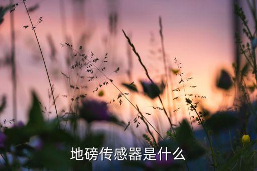 地磅傳感器，地磅傳感器是什么
