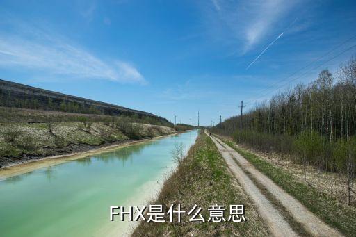 fhx，F(xiàn)HX是什么意思