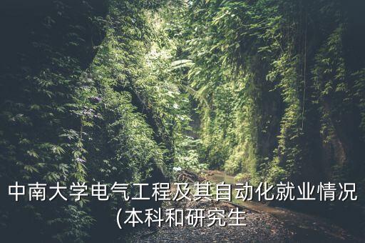 中南大學電氣工程及其自動化就業(yè)情況(本科和研究生