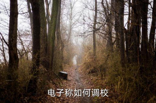 如何校準(zhǔn)電子秤，電子臺秤校準(zhǔn)方法有哪些