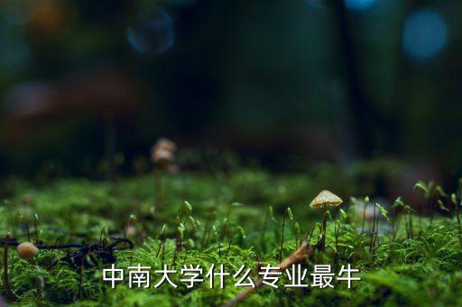 中南大學什么專業(yè)最牛