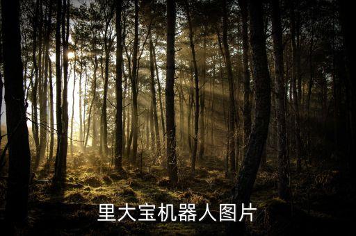 里大寶機器人圖片