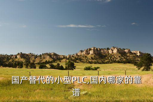 國產(chǎn)替代的小型PLC,國內(nèi)哪家的靠譜