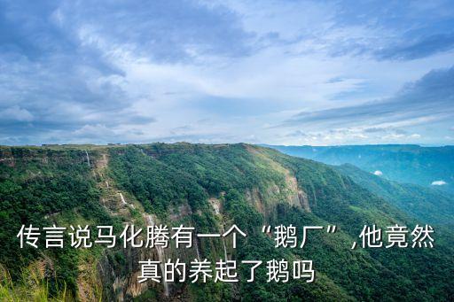 騰訊覓影,騰訊海納正式發(fā)布首個智慧社區(qū)開放平臺