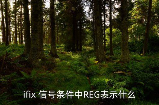 reg是什么意思，請(qǐng)問(wèn)電路中REG表示什么意思急