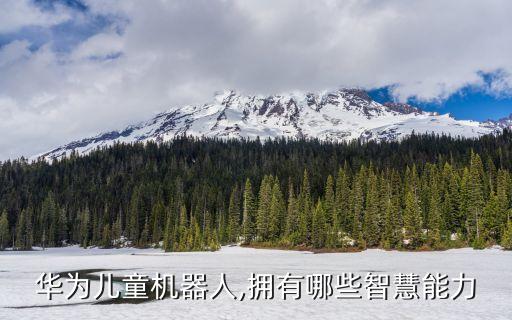 華為16年機器人,華為智能機器人怎么做?