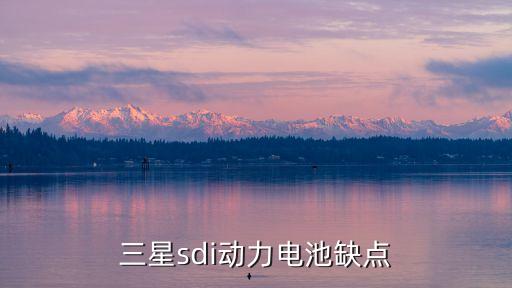 三星SDI，三星sdi是什么意思