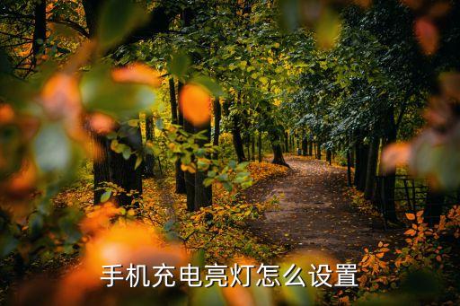 充電燈，顯示充電燈不閃是怎樣回事