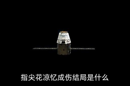 指尖花，指尖花涼憶你成傷什么意思