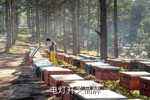 電燈開關(guān)品牌