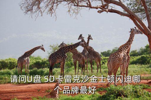 雷克沙內(nèi)存卡，內(nèi)存卡雷克沙這個(gè)牌子好么