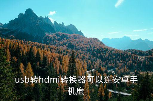 usb轉(zhuǎn)換hdmi支持?jǐn)?shù)據(jù)傳輸,