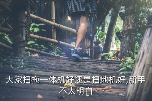 大家掃拖一體機好還是掃地機好,新手不太明白