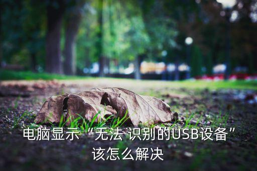 usb數(shù)據(jù)線無法識別