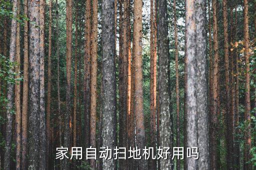 家用自動掃地機好用嗎
