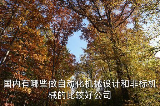 國內(nèi)有哪些做自動化機械設(shè)計和非標(biāo)機械的比較好公司