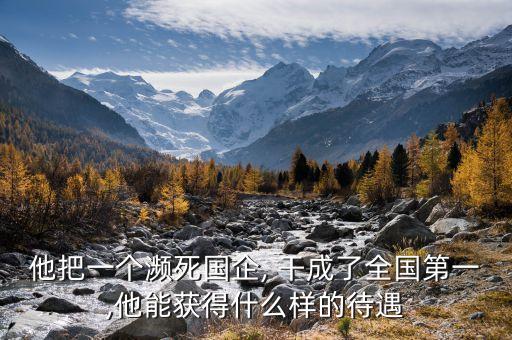 他把一個瀕死國企, 干成了全國第一,他能獲得什么樣的待遇