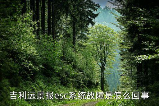 汽車esc系統(tǒng)，汽車顯示故障EsC是什么