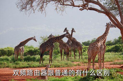 雙頻路由器，雙頻無線路由器是雙頻同時發(fā)射無線信號嗎