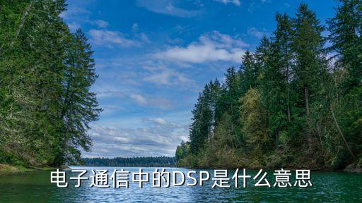 dsp是什么意思，電子通信中的DSP是什么意思