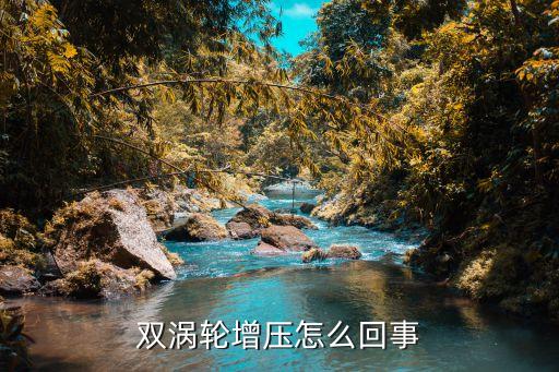 雙渦輪增壓，雙渦輪增壓怎么回事