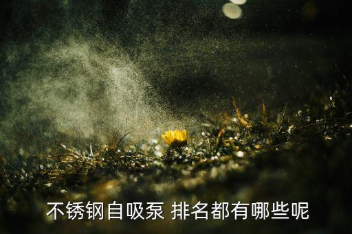 不銹鋼自動化專業(yè)排名,華北電力大學自動化專業(yè)排名