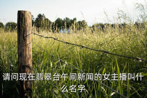 請問現(xiàn)在翡翠臺午間新聞的女主播叫什么名字