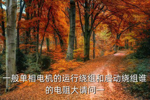 啟動電阻，請指出那個是啟動電阻要圖片說明