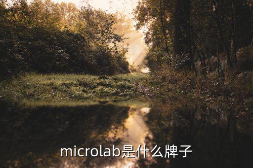 microlab，microlab音響音質(zhì)怎么樣