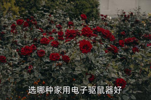 電子滅鼠器，電子滅鼠器有效果嗎