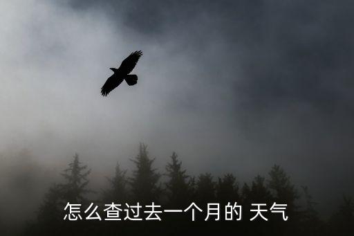 怎么查過去一個月的 天氣