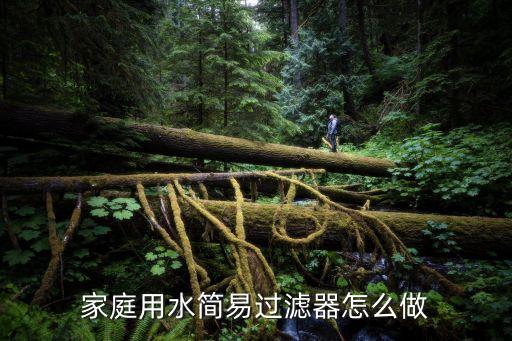 家庭用水簡(jiǎn)易過濾器怎么做