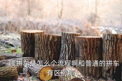 一喂拼車是怎么個(gè)流程啊和普通的拼車有區(qū)別那