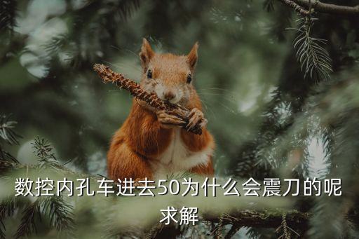震刀，數(shù)控車(chē)床外圓刀震刀是怎么回事該怎么解決