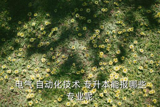  電氣 自動(dòng)化技術(shù) 專(zhuān)升本能報(bào)哪些專(zhuān)業(yè)呢