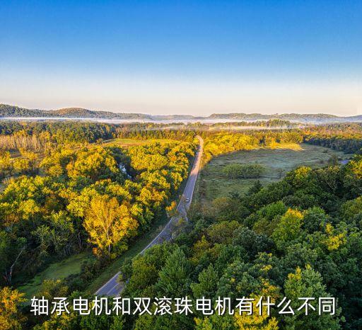 滾柱軸承自動化設(shè)備