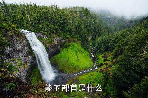 能的結構，能的部首是什么