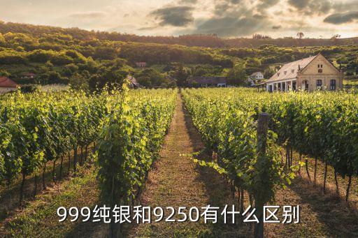 9250，最近流行的9250是什么意思