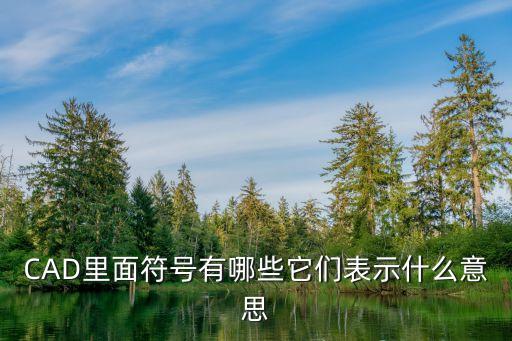 cad電氣自動(dòng)化符號(hào)大全,普通版cad怎么做?