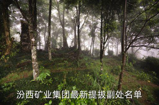 張秋明，汾西礦業(yè)集團(tuán)最新提拔副處名單