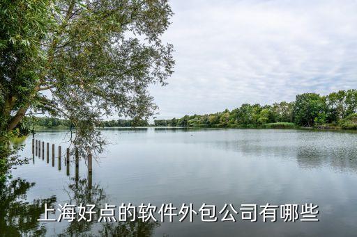 大數據外包公司有哪些,上海好點的軟件外包公司有哪些?