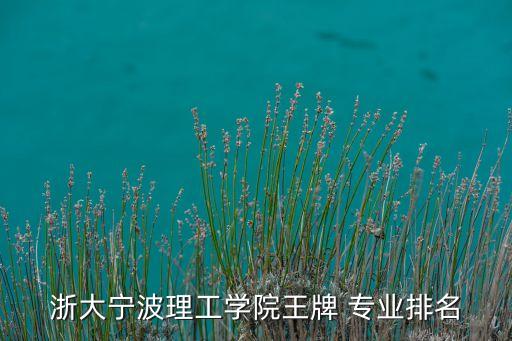 自動化專業(yè)藍領之王