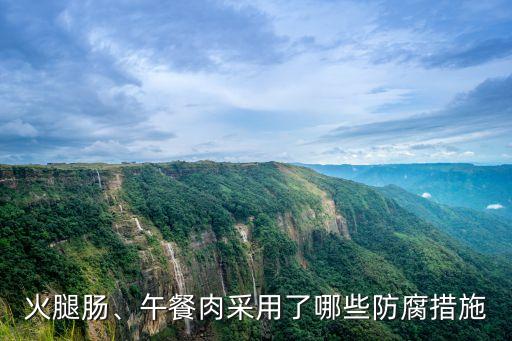 午餐肉自動(dòng)化加工設(shè)備,如何自制健康午餐肉?