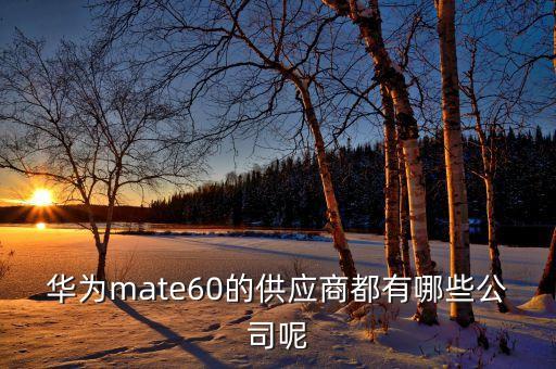 深圳市匯頂自動化有限公司,曾任深圳匯頂科技董事長和總經理