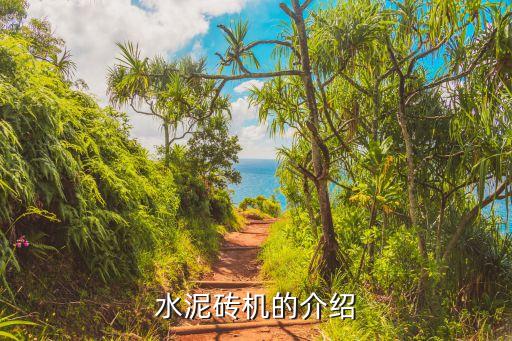 水泥砌塊養(yǎng)護(hù)自動(dòng)化設(shè)備,自動(dòng)保溫砌塊設(shè)備生產(chǎn)線有何不同?