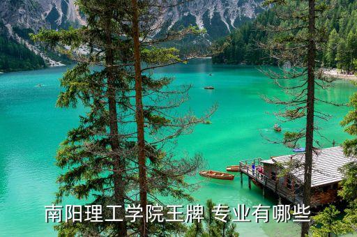 南陽理工學(xué)院王牌 專業(yè)有哪些