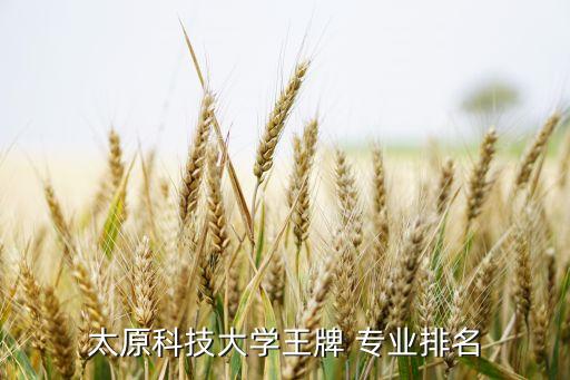 太原科技大學(xué)王牌 專業(yè)排名