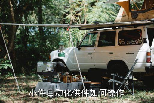 小件自動化供件如何操作