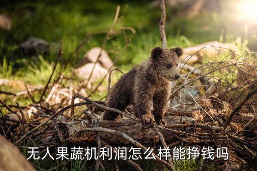 無人果蔬機(jī)利潤怎么樣能掙錢嗎